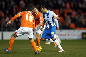 Blackpool - 29-12-2013 Prints: Brighton & Hove Albion Away at Blackpool (2013-14 Season): December 29, 2013