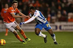 Blackpool - 29-12-2013 Prints: Brighton & Hove Albion Away at Blackpool (29-12-2013) - Season 2013-14