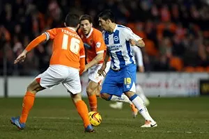 Images Dated 29th December 2013: Brighton & Hove Albion Away at Blackpool (2013-14 Season): December 29, 2013
