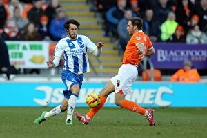 Images Dated 29th December 2013: Brighton & Hove Albion Away at Blackpool (2013-14 Season)
