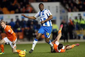 Blackpool - 29-12-2013 Prints: Brighton & Hove Albion Away at Blackpool (December 29, 2013) - Season 2013-14