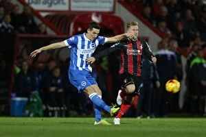 Images Dated 1st November 2014: Brighton & Hove Albion Away at Bournemouth - 01NOV14