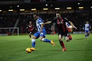 Images Dated 1st November 2014: Brighton & Hove Albion Away at Bournemouth - 2014-15 Season: Game Highlights (Bournemouth 01NOV14)