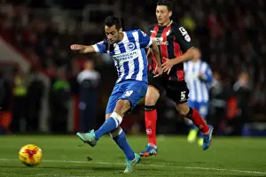 Bournemouth 01NOV14 Prints: Brighton & Hove Albion Away at Bournemouth - November 1, 2014 (Bournemouth 01NOV14)