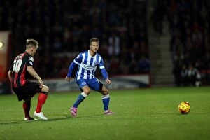 Images Dated 1st November 2014: Brighton & Hove Albion Away at Bournemouth - Season 2014-15 (01NOV14)
