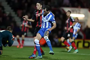 Brighton & Hove Albion Away at Bournemouth - Season 2014-15 (01NOV14)
