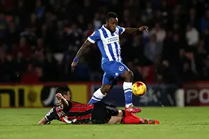 Bournemouth 01NOV14 Prints: Brighton & Hove Albion Away at Bournemouth - Season 2014-15 (01NOV14)