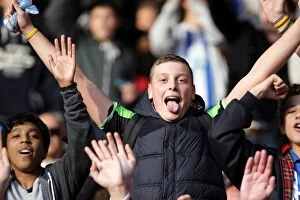 Images Dated 19th November 2011: Brighton & Hove Albion Away Days 2011-12: A Sea of Supporters