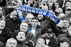 Crowd Shots Away Days - 2013-14 Prints: Brighton and Hove Albion Away Days 2013-14: Sea of Supporters at Yeovil Town