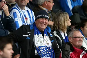 Crowd Shots Away Days - 2013-14 Prints: Brighton and Hove Albion Away Days 2013-14: Sea of Supporters at Yeovil Town