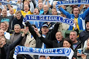 Crowd Shots Away Days - 2013-14 Prints: Brighton and Hove Albion Away Days 2013-14: Yeovil Town - Fan Crowd Shots