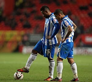 Images Dated 8th December 2012: Brighton & Hove Albion: Away Game vs Charlton Athletic (2012-13 Season)