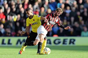 Watford 04OCT14 Prints: Brighton & Hove Albion: Away Game at Watford (04OCT14)