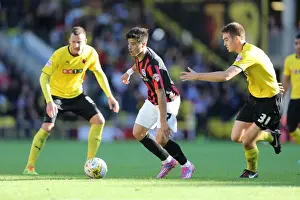 Brighton & Hove Albion: Away Game at Watford (October 4, 2014)