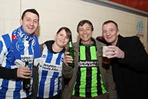 Images Dated 26th July 2001: Brighton and Hove Albion Away Games 2012-13: A Sea of Supporters