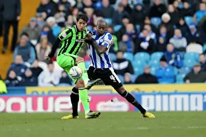 Sheffield Wednesday - 02-02-2013 Prints: Brighton & Hove Albion Away at Sheffield Wednesday: 2012-13 Season