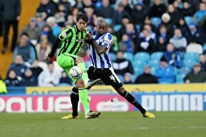 Images Dated 2nd February 2013: Brighton & Hove Albion Away at Sheffield Wednesday: 2012-13 Season