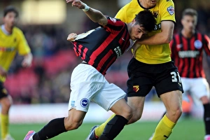 Brighton & Hove Albion: Away at Watford (04OCT14)