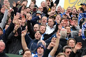 Yeovil Town 19-10-2013 Prints: Brighton & Hove Albion Away at Yeovil Town (2013-14 Season): October 19, 2013