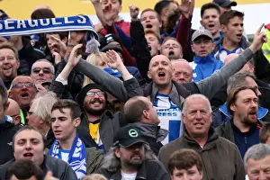 Yeovil Town 19-10-2013 Prints: Brighton & Hove Albion Away at Yeovil Town (2013-14 Season): October 19, 2013