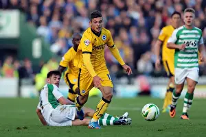 Yeovil Town 19-10-2013 Prints: Brighton & Hove Albion Away at Yeovil Town (2013-14 Season): October 19, 2013