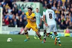 Yeovil Town 19-10-2013 Prints: Brighton & Hove Albion Away at Yeovil Town (2013-14 Season): October 19, 2013