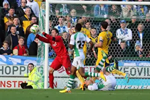 Yeovil Town 19-10-2013 Prints: Brighton & Hove Albion Away at Yeovil Town (2013-14 Season): October 19, 2013