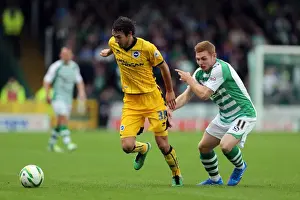 Yeovil Town 19-10-2013 Prints: Brighton & Hove Albion Away at Yeovil Town (2013-14 Season): October 19, 2013