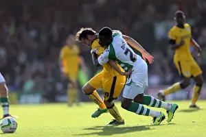 Yeovil Town 19-10-2013 Prints: Brighton & Hove Albion Away at Yeovil Town (2013-14 Season): October 19, 2013