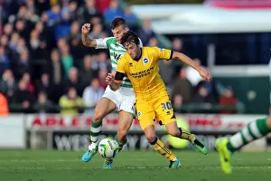Yeovil Town 19-10-2013 Prints: Brighton & Hove Albion Away at Yeovil Town (2013-14 Season) - October 19, 2013