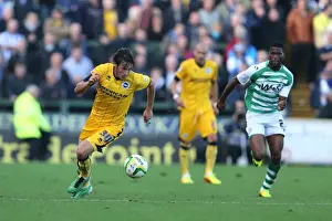 Yeovil Town 19-10-2013 Prints: Brighton & Hove Albion Away at Yeovil Town (2013-14 Season): October 19, 2013