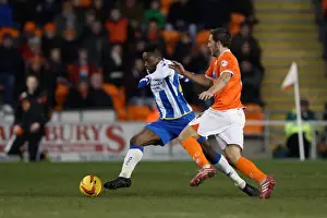Blackpool - 29-12-2013 Prints: Brighton & Hove Albion at Blackpool (2013-14 Season): Away Game Highlights - December 29