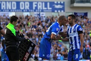 Images Dated 12th September 2015: Brighton & Hove Albion: Bobby Zamora Welcomes Sam Baldock as a Substitute Against Hull City