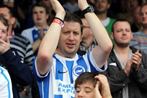 Brighton & Hove Albion at Brentford: Away Game, September 13, 2014