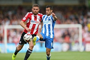 Brighton & Hove Albion at Brentford: Away Game, September 13, 2014