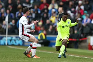 Brighton and Hove Albion Celebrate Championship Victory Over MK Dons (19MAR16)