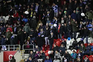 Brighton and Hove Albion Celebrate Championship Victory at Rotherham United (07MAR17)