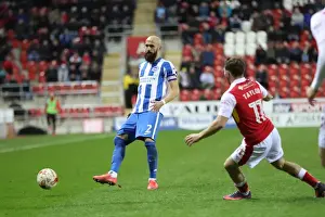 Brighton and Hove Albion Celebrate Championship Victory over Rotherham United (07MAR17)