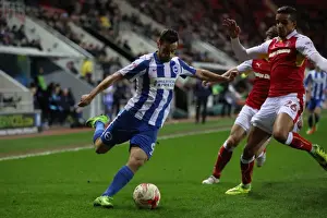 Brighton and Hove Albion Celebrate Championship Victory over Rotherham United (07MAR17)