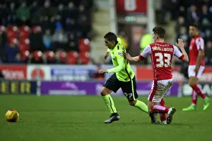 Brighton and Hove Albion Celebrate Championship Victory over Rotherham United (January 12, 2016)