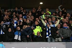 Images Dated 19th March 2016: Brighton and Hove Albion Clinch Championship Victory over MK Dons (19MAR16)