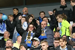 Brighton and Hove Albion Clinch Championship Victory over MK Dons (19MAR16)