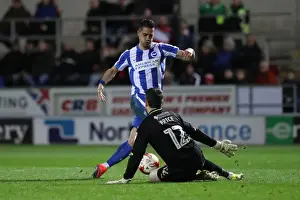 Brighton and Hove Albion Clinch Championship Victory at Rotherham United (07MAR17)