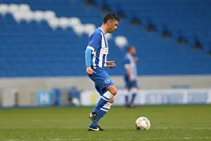 Prints of Play on the pitch match at the American Express Community Stadium, Brighton and Hove, England on 29 April 2015 Play On Pitch 2015 Prints: Brighton & Hove Albion: A Community Stadium Experience - Play on the Pitch (29 April 2015)