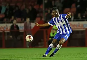 Checkatradecom Stadium Prints: Brighton and Hove Albion Take on Crawley Town in Pre-Season Friendly (22/07/2015)