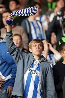 Images Dated 19th November 2011: Brighton And Hove Albion Crowd Shots: Crowd Shots Away Days 2011-12