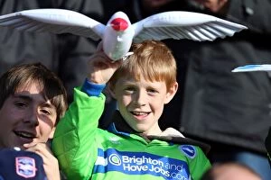 Images Dated 27th October 2012: Brighton And Hove Albion Crowd Shots: Crowd Shots Away Days 2012-13