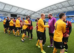 Prints of Play on the pitch match at the American Express Community Stadium, Brighton and Hove, England on 29 April 2015 Play On Pitch 2015 Prints: Brighton & Hove Albion: A Day on the Pitch at American Express Community Stadium (29 April 2015)