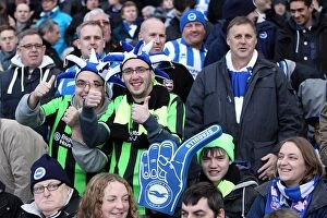 Images Dated 10th May 2001: Brighton & Hove Albion: The Electric Amex Stadium Crowd (2012-2013)