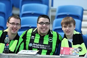 Images Dated 20th April 2013: Brighton & Hove Albion: The Electric Amex Stadium Crowd (2012-2013)